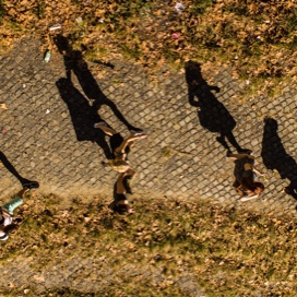 Topdown view of students walking on a brick path with long shadows